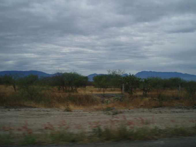 Tierra en ruinas